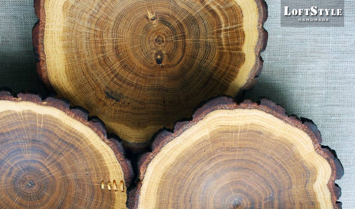 Самые ценные породы дерева, сорта самой дорогой древесины. компания нева-аск