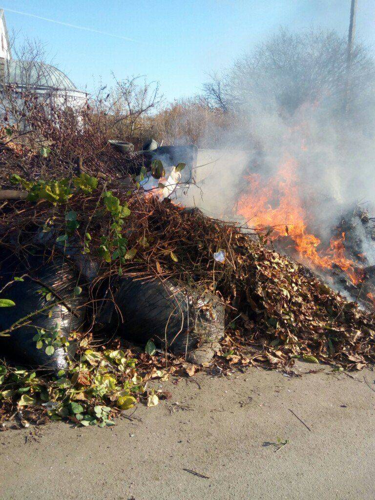 Сжигание отходов: как производят, оборудование, юридические нюансы