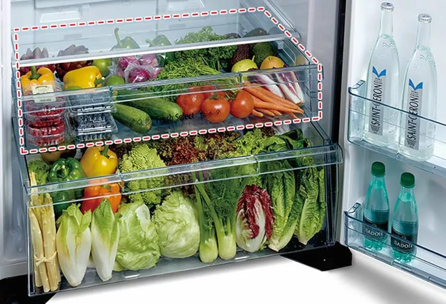 Какой холодильник лучше — no frost или ручная разморозка