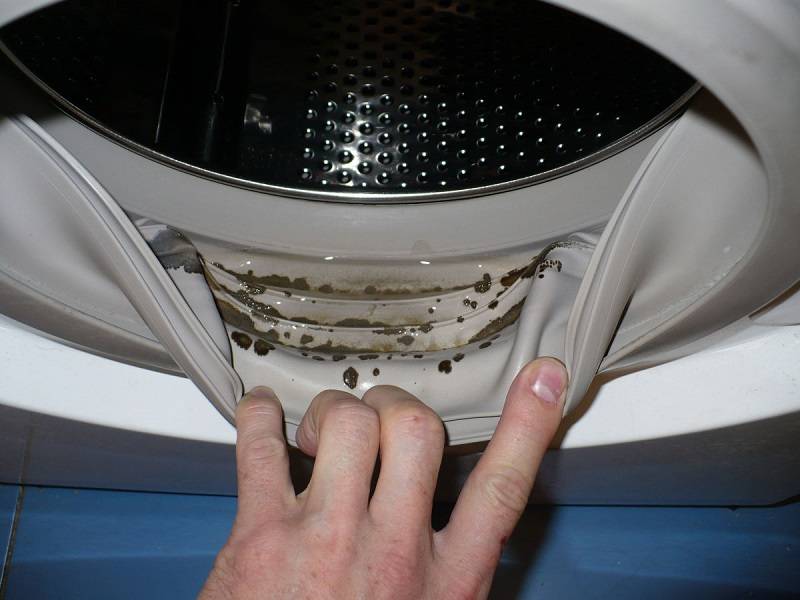 Как избавиться от плесени в стиральной машине: средство для очистки стиральной машины от грибка, как убрать и чем отмыть