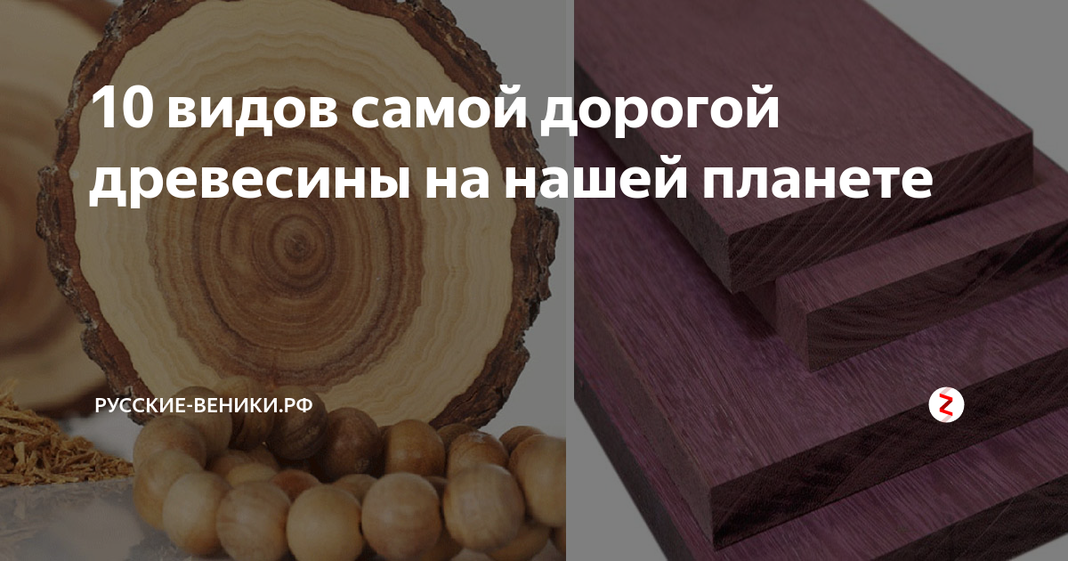 Породы дерева. твердость древесины самое тяжелое дерево в россии