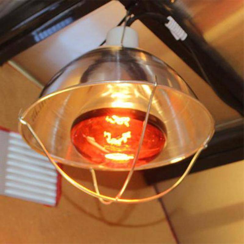 Инфракрасная лампа для курятника: обогрев зимой, польза или вред, какая нужна мощность, сколько ватт