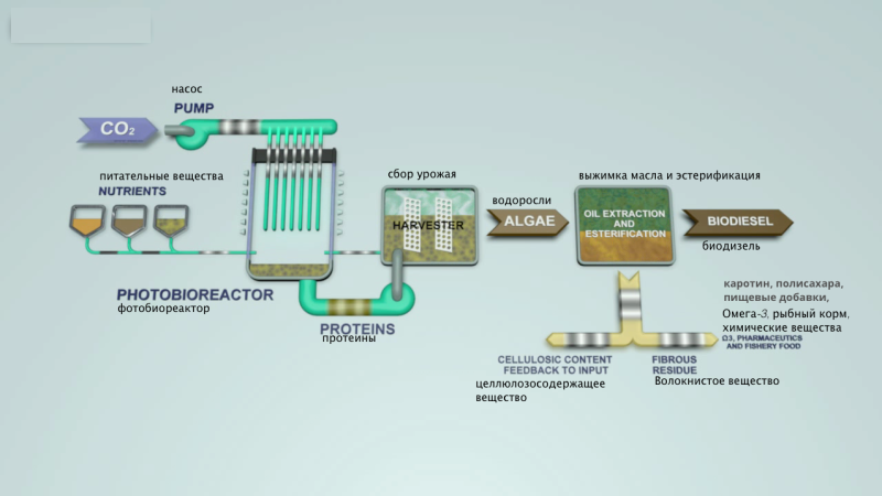 Биодизель | производство в домашних условиях и как бизнес-идея